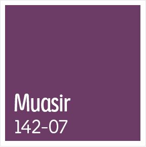 color muasir